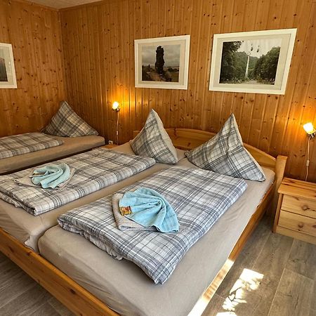 Christels Ferienwohnung 1 In Thale Mit Sonnenterrasse Und Grill Экстерьер фото
